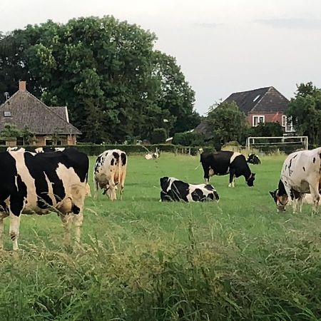 Heerlijk Gaanderhei Bed & Breakfast Gaanderen Luaran gambar